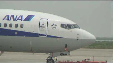 ANA Boeing737(JA12AN) at Mt.shizuoka airport