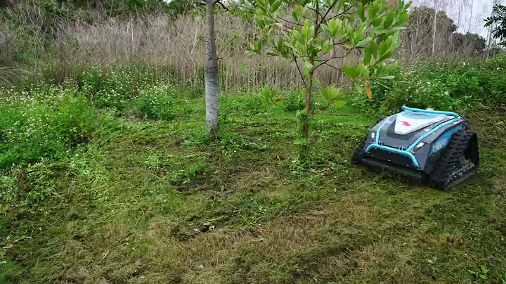 Zero Maintenance Electric Mower OEM | Koham CleanCore Tech #MaintenanceFreeMower #OEM