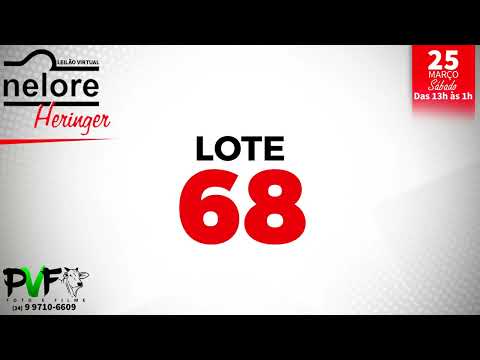 LOTE 68