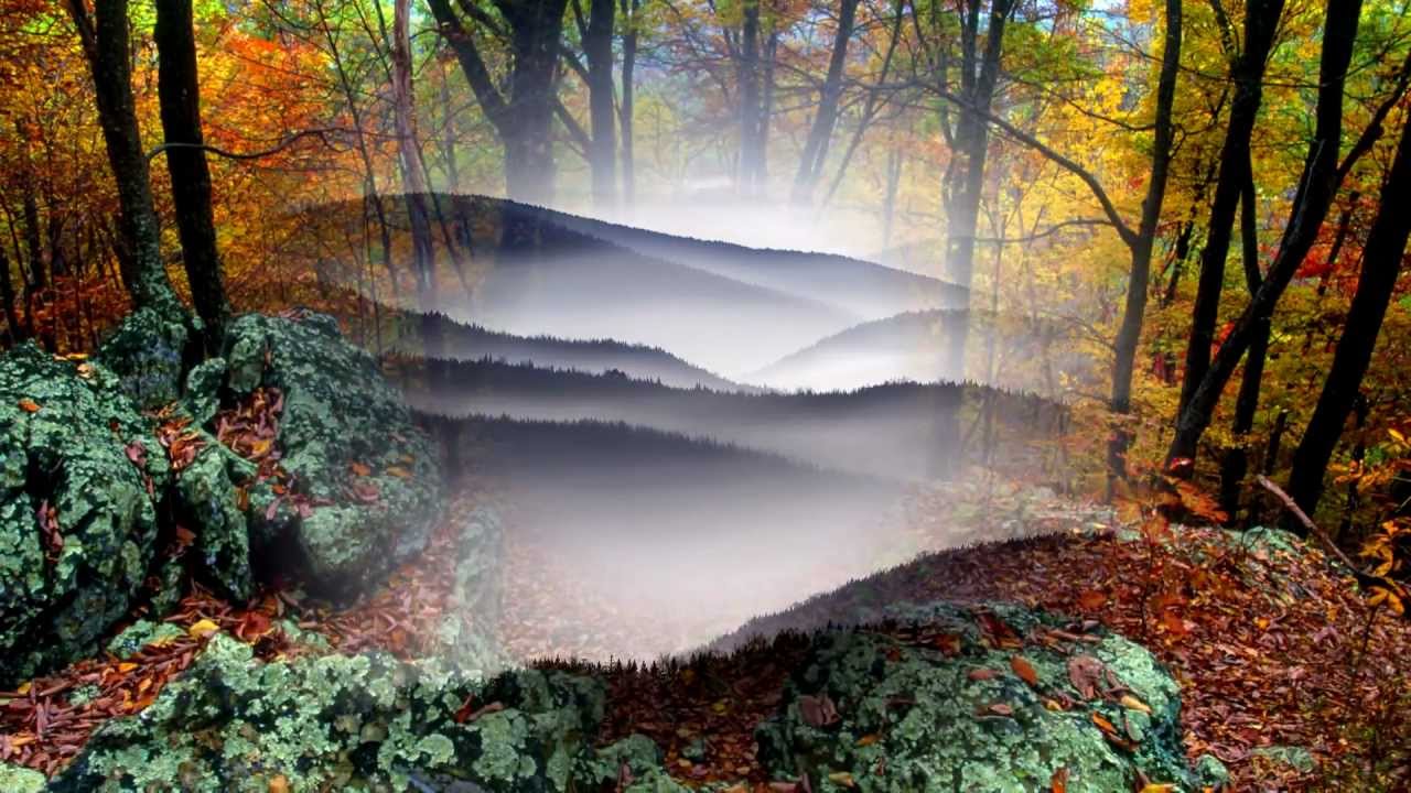 Youtube 動画で覚えよう英語の歌 3 シェナンドー テネシー アーニー フォード シセル ハリー べラフォンテ ジョー スタフォード ブルース スプリングスティーン マレード ネスビット