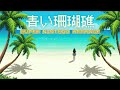 Game BGM 青い珊瑚礁 松田聖子 Adventure Instrumental Ver