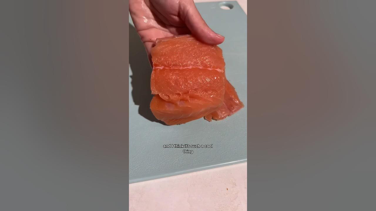lab grown salmon is the future!? 👩🏼‍🔬🧪🍣 YouTube
