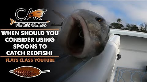 When Should You Consider Using Spoons To Catch Redfish! - Flats Class