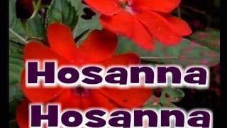 Video thumbnail of "Hosanna Hosanna"