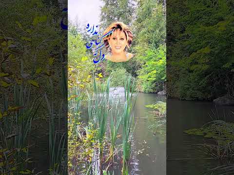 مهستی آهنگ دل که گناهی نداره موسیقی ایرانی   
