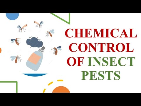Chemical Control of Insect Pests - YouTube