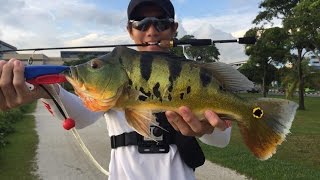 First fish on soft plastics! screenshot 5