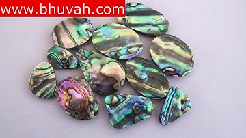 abalone shell cabochon gemstone stone