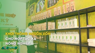 Khơi thông nguồn vốn cho hợp tác xã nông nghiệp  | Thái Nguyên TV