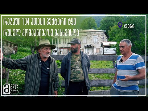 რაჭაში 104 ათასი ჰექტარი ტყე რუსულ კომპანიაზე გასხვისდა