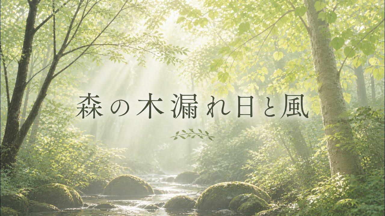 いつもありがとうございますo( ^_^ )o「森の木漏れ日」 森の木漏れ日と風 - YouTube