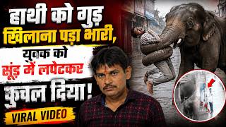 Indore में हाथी को गुड़ खिलाना पड़ा भारी, युवक को सूंड में लपेटकर कुचला, CCTV Video से मचा हड़कंप