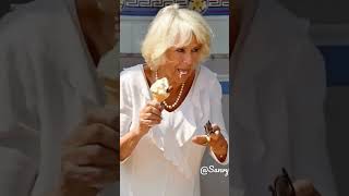 Diana Knew The Truth About Camilla 😳 #shorts #royalfamily