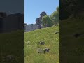 we planted 10,000 landmines in rust