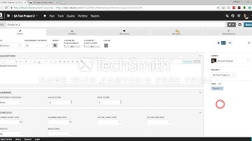 CA Agile Central (Rally) Training Tutorials - Tagging