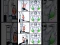 How to get a back workout at home 💥 #music #gymworkout #backworkout #motivation