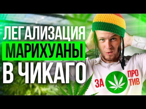 Марихуана стала легальной в Чикаго? Легализация марихуаны в США