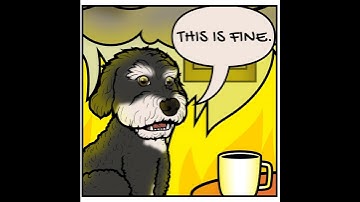 Recall on Windows 11: Implications for Privacy and Security