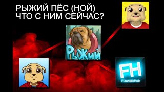 КУДА ПРОПАЛ РЫЖИЙ ПЕС?