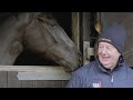 The Yorkshire Wonder Horse