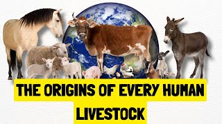 History of All Human Livestock