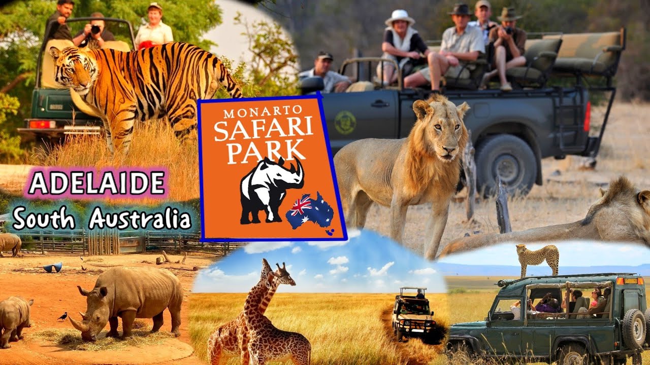 monarto safari park in south australia