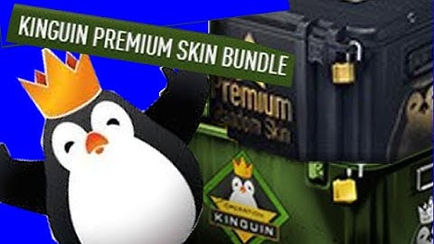 Kinguin Premium Skin Bundle | Is it worth it?
