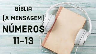 Bíblia - Números 11-13 (Dia 47) - Plano Anual Audiobook