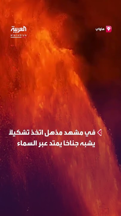    
 - نشر قبل 11 دقيقة