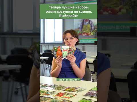 🌱 Подборка лучших семян тыквы и кабачков 2025! Проверенные и надежные!