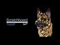 Scratchboard demo: How to draw a German Shepherd with a knife