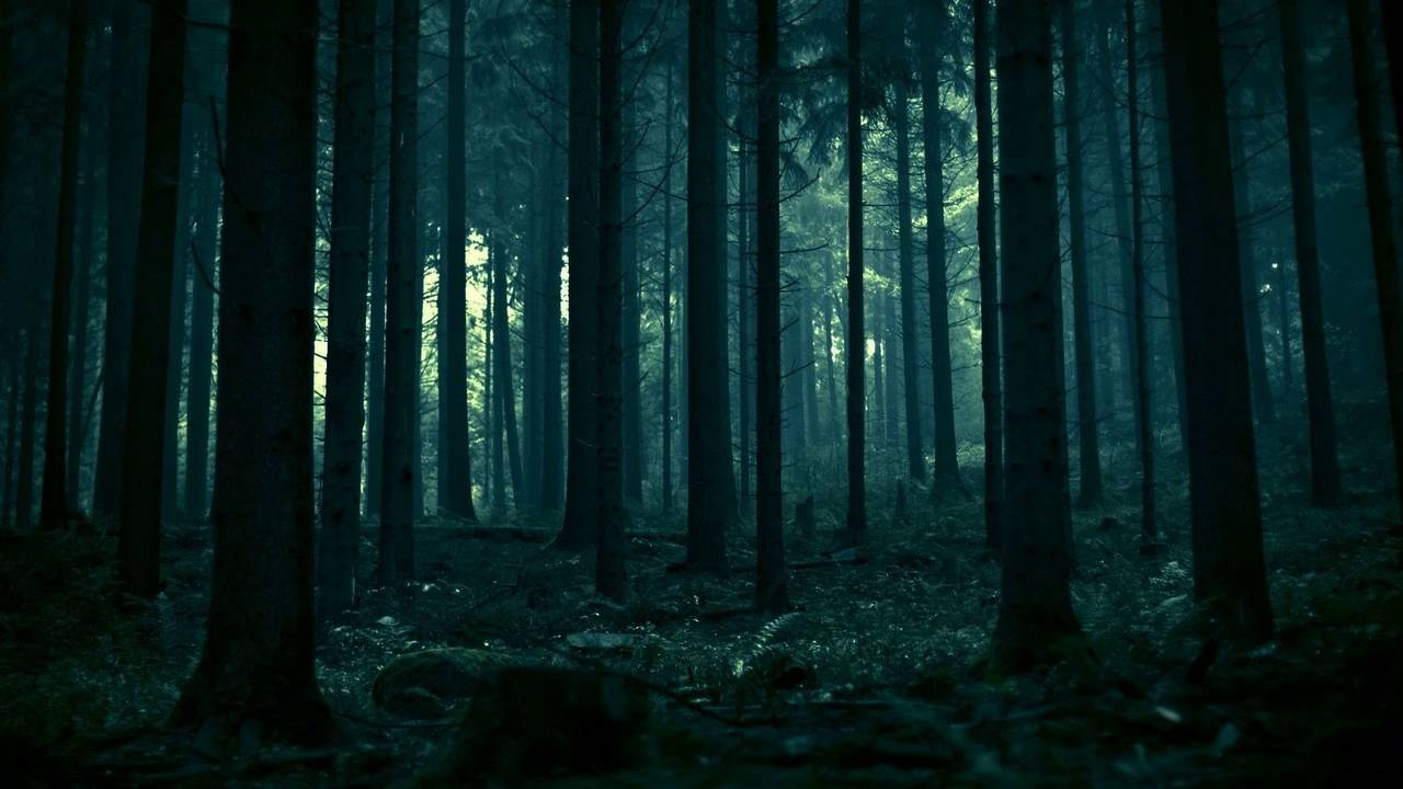 Mi boda estilo gótico en el bosque 3