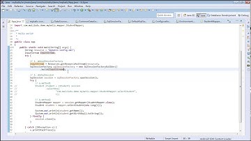 Java Web进阶 Mybatis 5 mybatismybatis 核心配置4 1