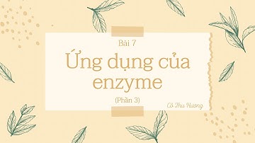 Bài 7. Ứng dụng của enzyme (phần 3) - Chuyên đề học tập -  Sinh học 10 - Kết nối tri thức - OLM.VN