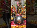 OM NAMAH SHIVAYA AARTI SHORT VIDEO! MAHADEV VIDEO! SHIV SHANKAR BHOLENATH AARTI #mahadev #mahakal