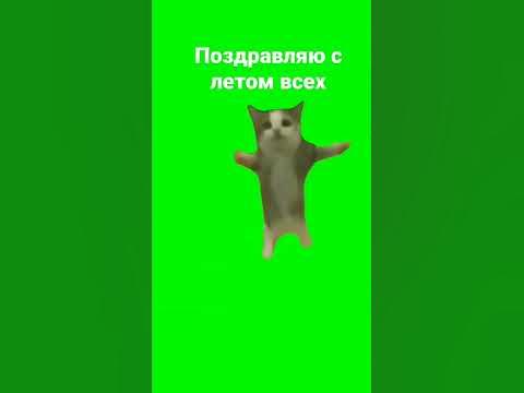 хапи хапи хапи хапиии #хапи #лето - YouTube
