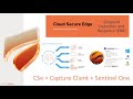 How to Integrate Cloud Secure Edge with Capture Client | SonicWall