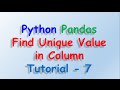 Python & Pandas: Find Unique Column Values 🐼