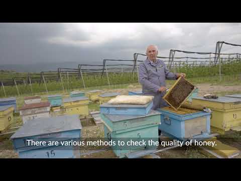 Video: Ինչպես բացահայտել մեղրը