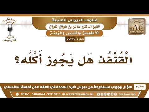 [2495 -3022] هل يجوز أكل القنفذ؟
