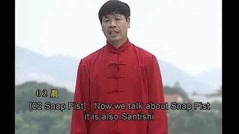 Sun-style Xingyi Wuxing Quan lecture  