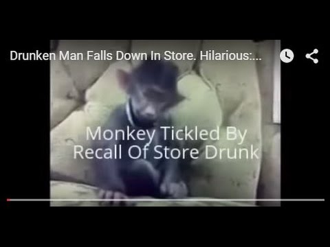 drunken-man-falls-down-in-store.-hilarious:-pet-monkey-laughs-hysterically-at-his-drunken-behaviour