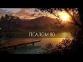 ПСАЛОМ 80