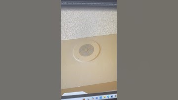 Valcom 1020C Speaker in Confort Inn