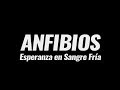 "ANFIBIOS: Esperanza en sangre fría" (UCR, 2017)