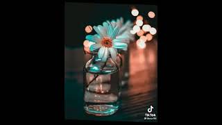 Kapandi Bu Eski Yaram🌹🖤