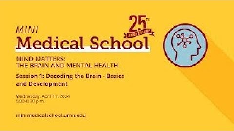 How does socioeconomic status (SES) affect infant brain development?