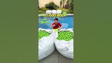 Thumbnail of I Filled the Entire Pool With Balls!