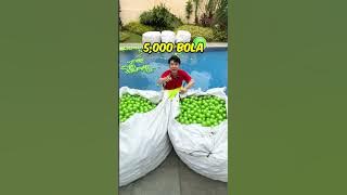 I Filled the Entire Pool With Balls!