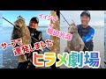 こんな事ある！？サーフでヒラメ大爆釣！！